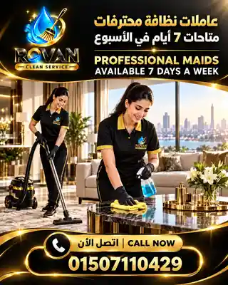 Professional Maids Available All Week